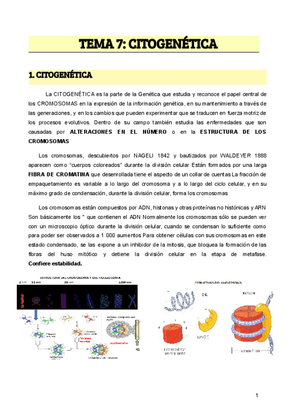 Miniatura del documento TEMA-7-CITOGENETICA.pdf
