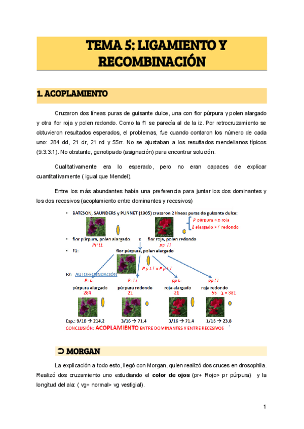 Miniatura del documento TEMA-5-LIGAMIENTO-Y-RECOMBINACION-1.pdf