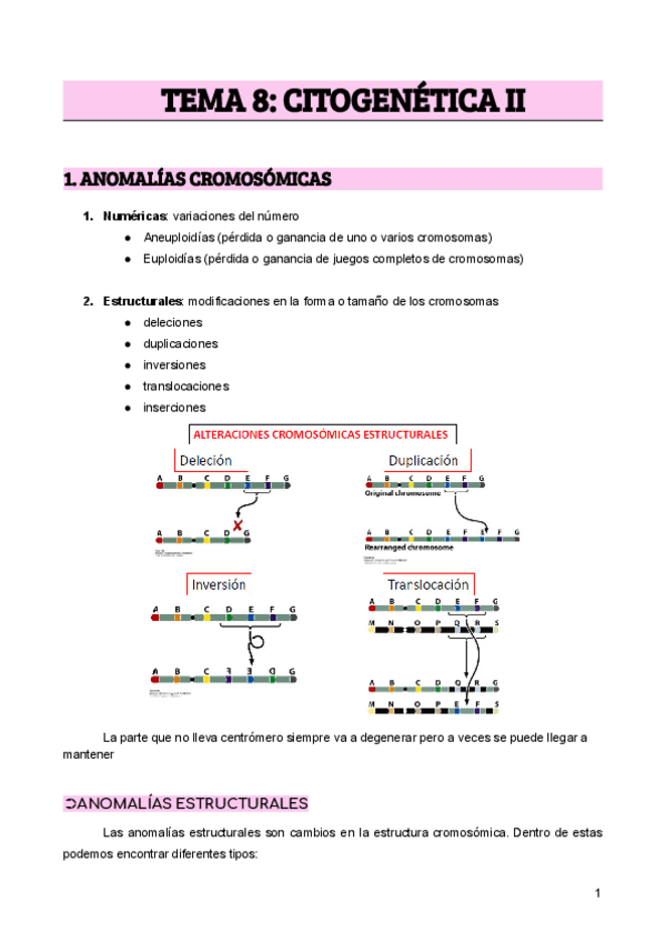 Miniatura del documento TEMA-8-CITOGENETICA-II.pdf