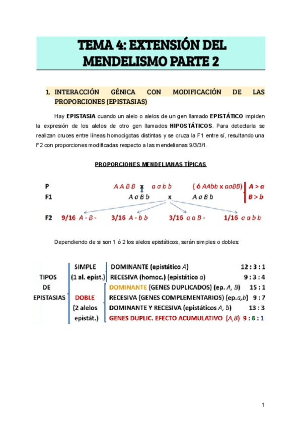 Miniatura del documento TEMA-4-EXTENCION-DEL-MENDELISMO.pdf