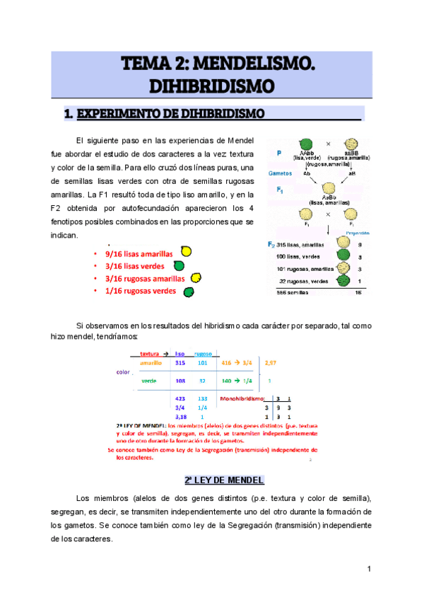 Miniatura del documento TEMA-2-MENDELISMO.pdf