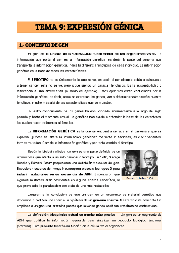 Miniatura del documento TEMA-9-EXPRESION-GENICA.pdf