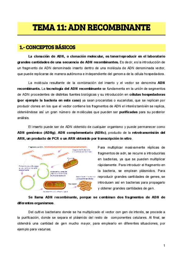 Miniatura del documento TEMA-11-ADN-RECOMBINANTE-1.pdf
