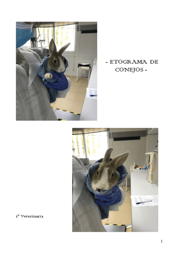 Miniatura del documento Etograma.pdf