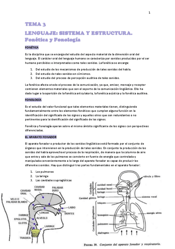 Miniatura del documento TEMA-3-LINGUISTICA.pdf