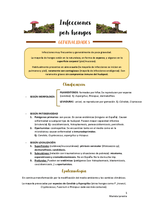 Miniatura del documento HONGOS.pdf