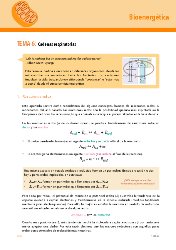 Miniatura del documento Bioenergetica-TEMA-6acabadocon-nombre.pdf