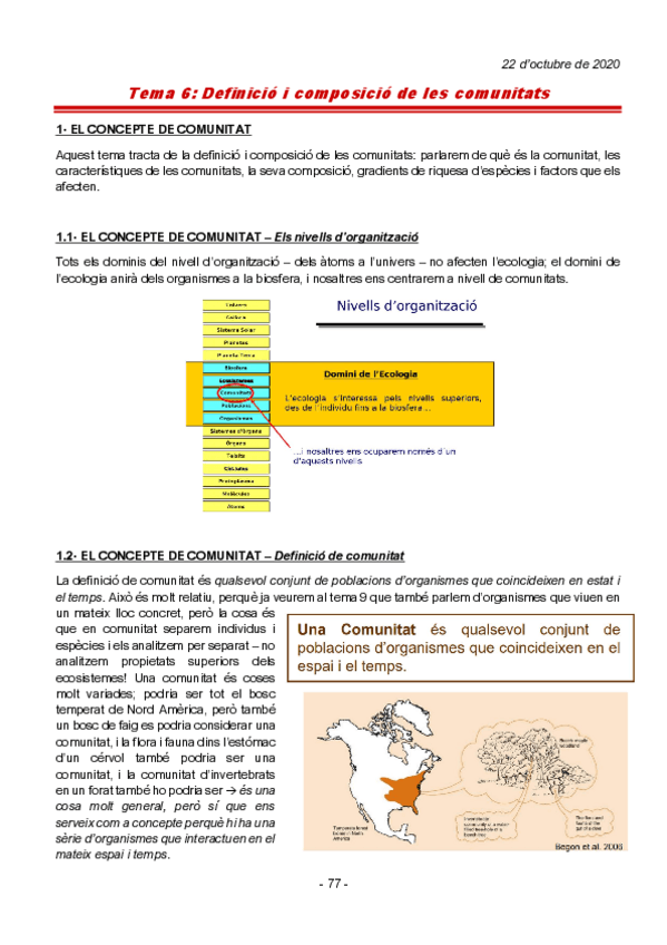 Miniatura del documento ecocococo.pdf