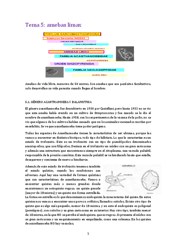 Miniatura del documento Tema 5 para.pdf