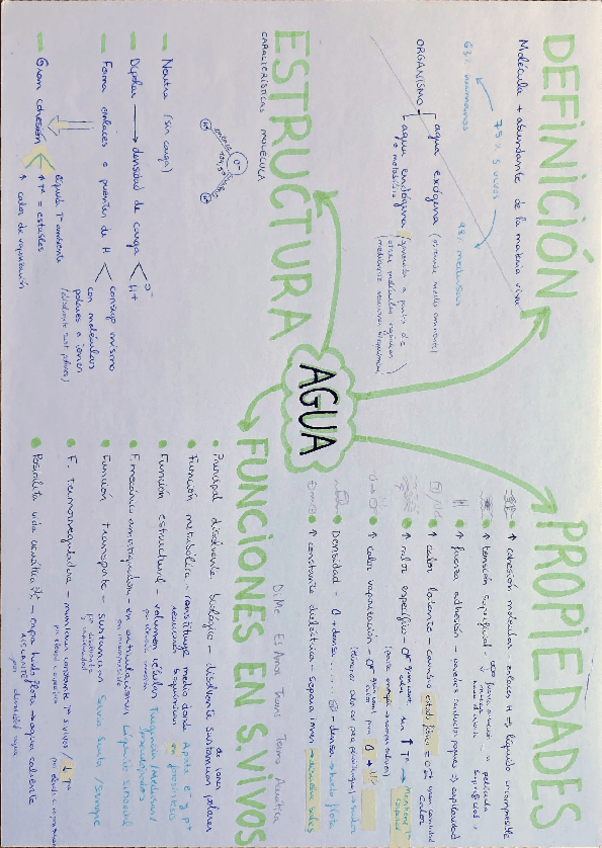Miniatura del documento Agua.pdf