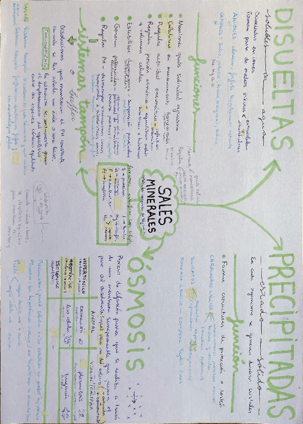 Miniatura del documento Sales-minerales.pdf