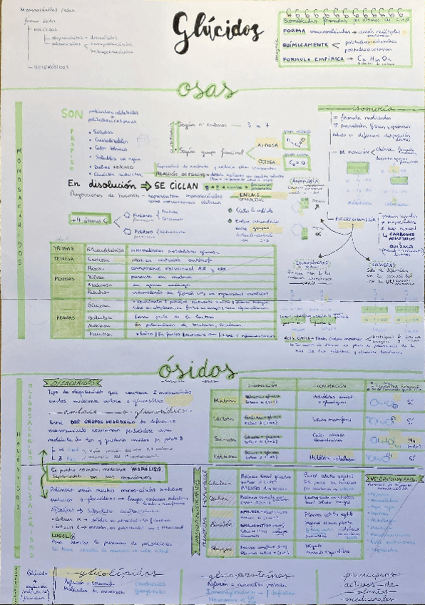 Miniatura del documento Glucidos-.pdf