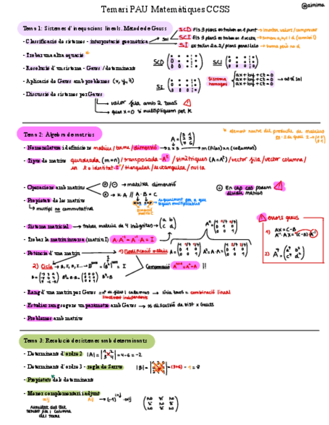 Miniatura del documento Temari-PAU-.pdf