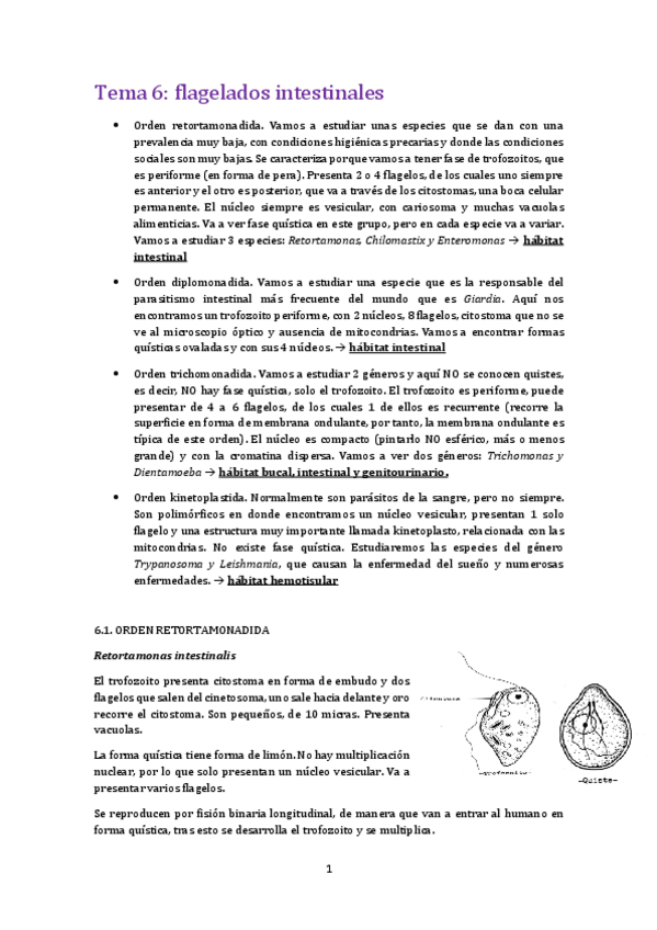 Miniatura del documento Tema 6 para.pdf