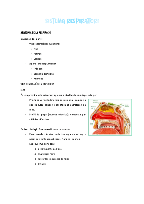Miniatura del documento SISTEMA-RESPIRATORI.pdf