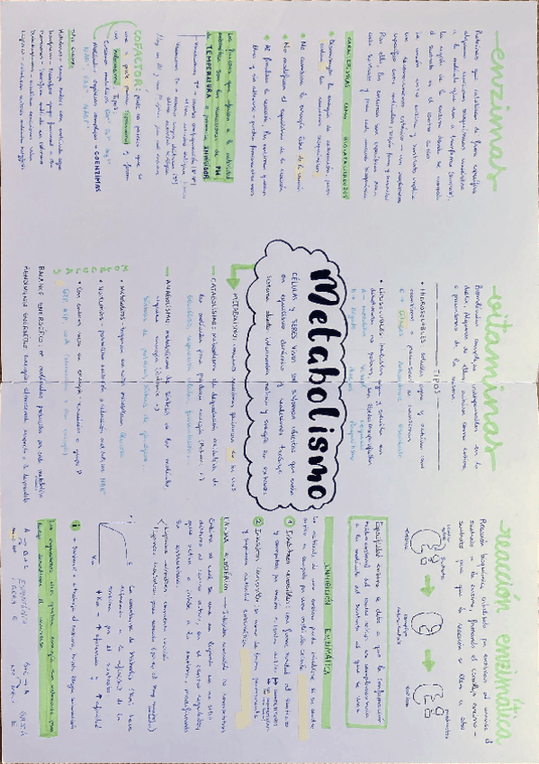 Miniatura del documento Metabolismo-y-enzimas.pdf
