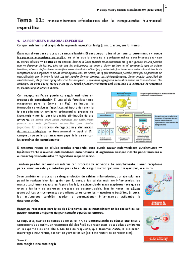 Miniatura del documento Tema-11.pdf