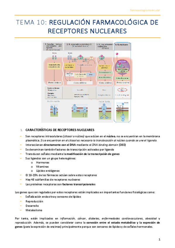 Miniatura del documento Tema-10-.pdf