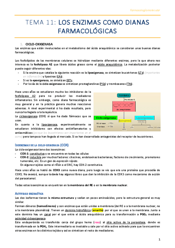 Miniatura del documento Tema-11-.pdf
