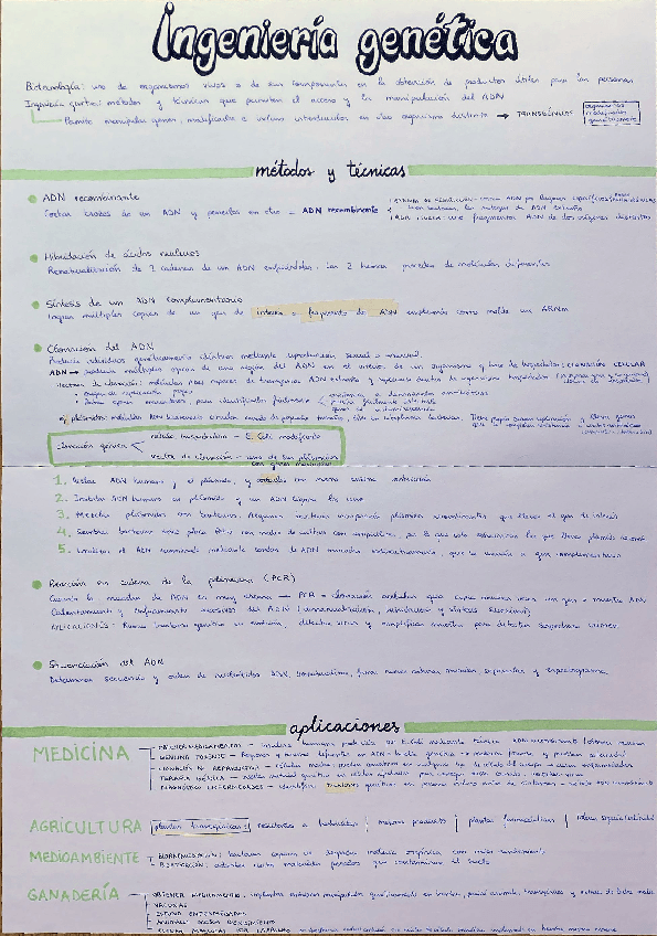 Miniatura del documento Ingenieria-genetica-y-biotecnologia-.pdf