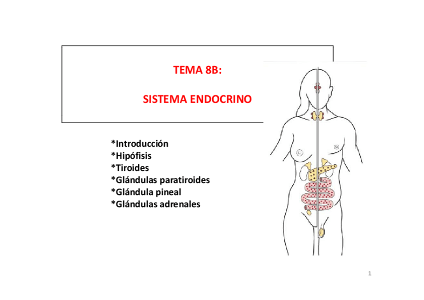 Miniatura del documento Diapositivas tema 8b.pdf