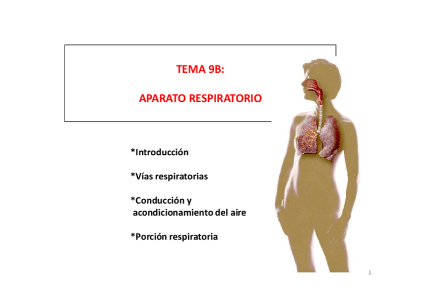 Miniatura del documento Diapositivas tema 9b.pdf