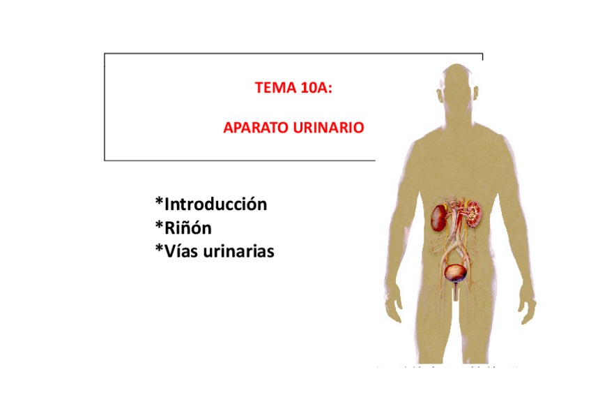 Miniatura del documento Diapositivas tema 10a.pdf
