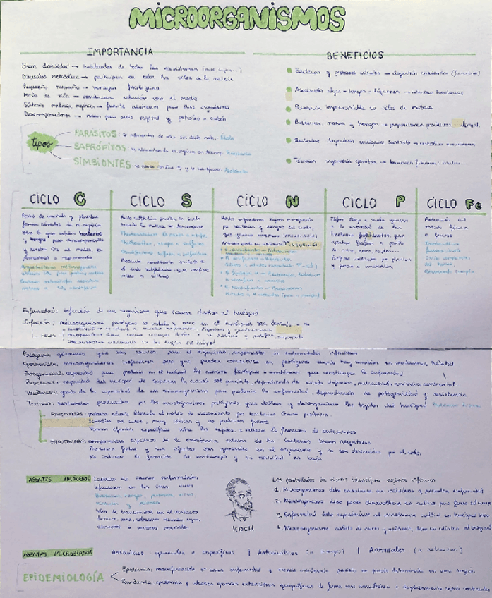 Miniatura del documento Microorganismos.pdf