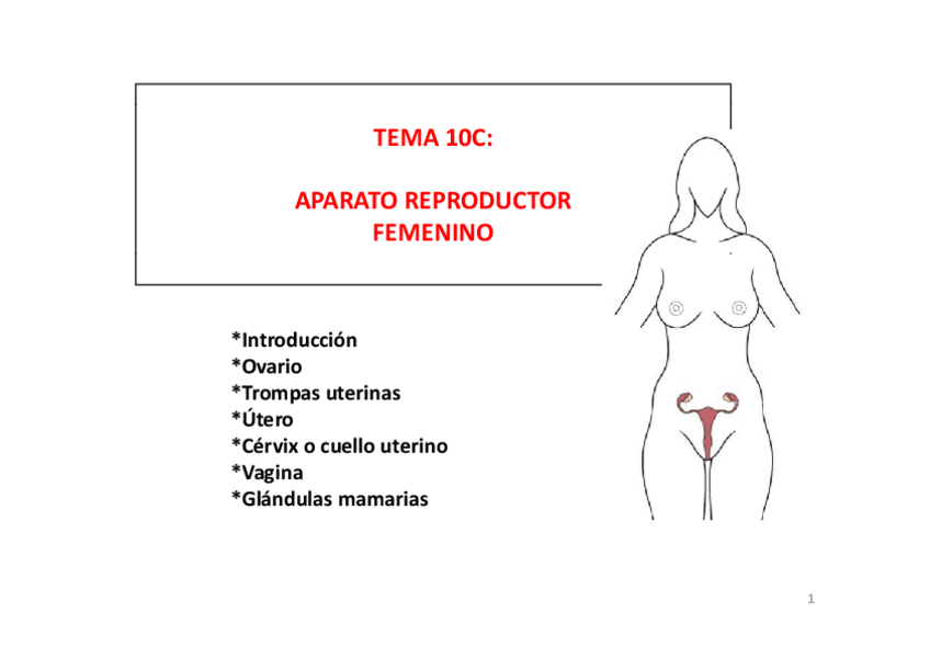 Miniatura del documento Diapositivas tema 10c.pdf