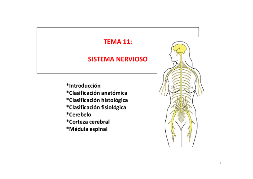 Miniatura del documento Diapositivas tema 11.pdf