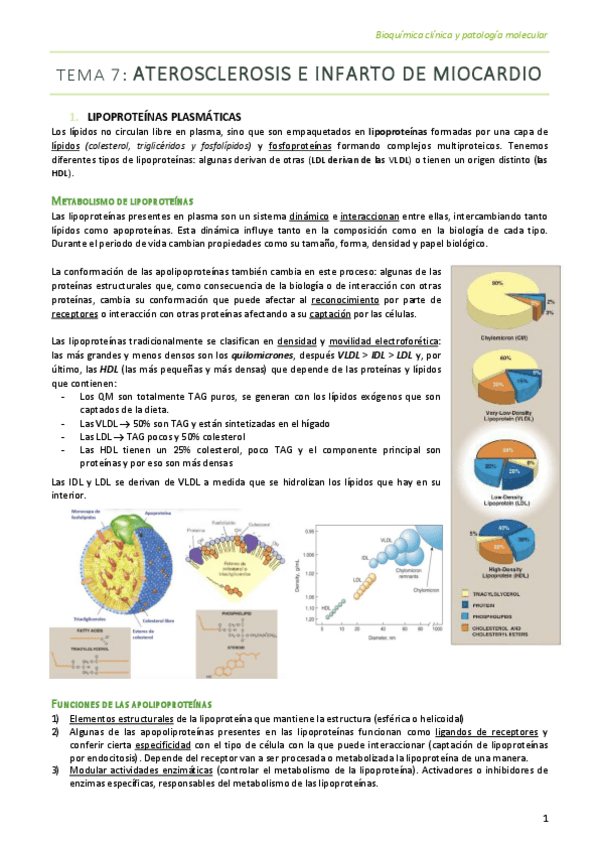 Miniatura del documento Tema-7.pdf
