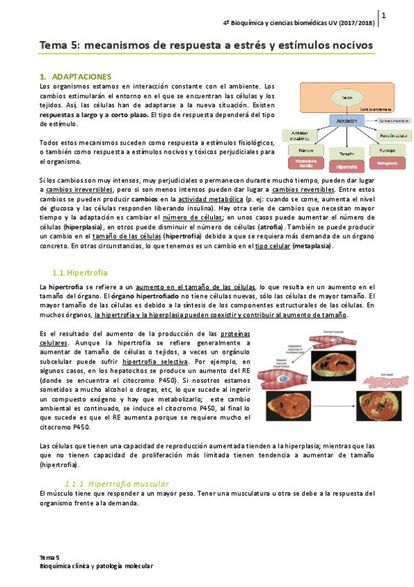 Miniatura del documento Tema-5.pdf