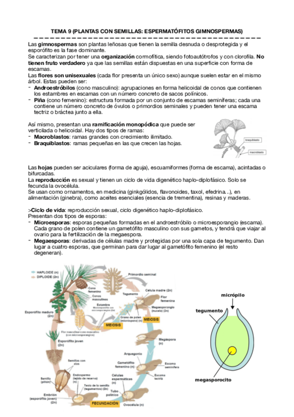 Miniatura del documento Botanica-Temas-9-13.pdf