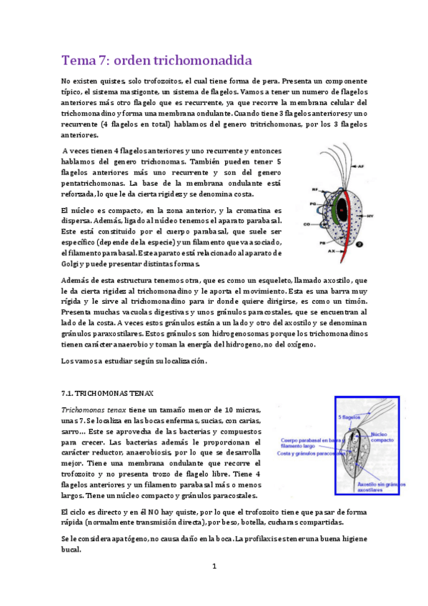 Miniatura del documento Tema 7 para.pdf
