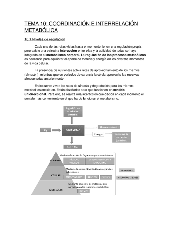 Miniatura del documento TEMA 10.pdf
