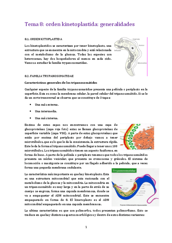 Miniatura del documento Tema 8 para.pdf