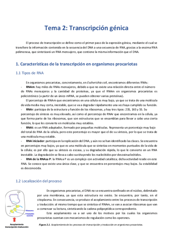 Miniatura del documento T2. Transcripción .pdf