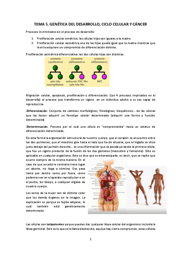 Miniatura del documento TEMA-5.pdf