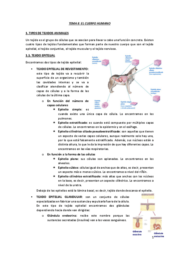 Miniatura del documento TEMA-8.pdf