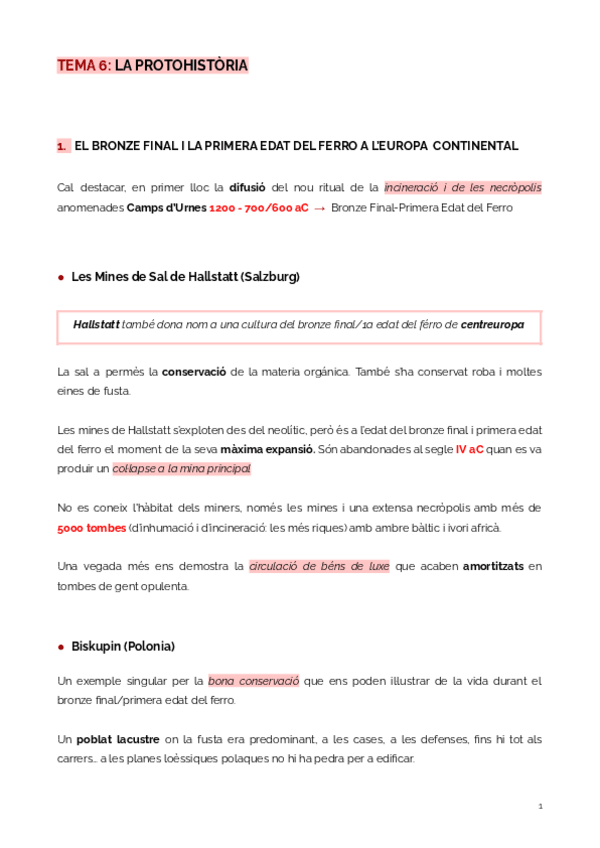 Miniatura del documento TEMA 6