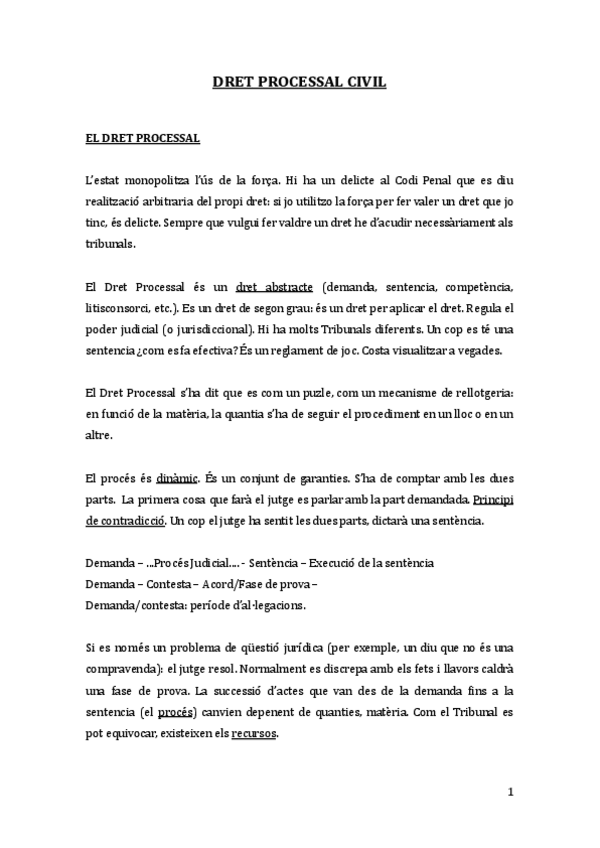 Miniatura del documento APUNTS-DRET-PROCESSAL-CIVIL.pdf