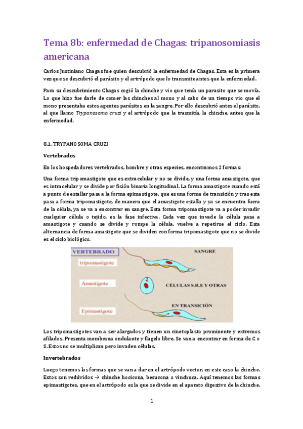 Miniatura del documento tema 8B para.pdf