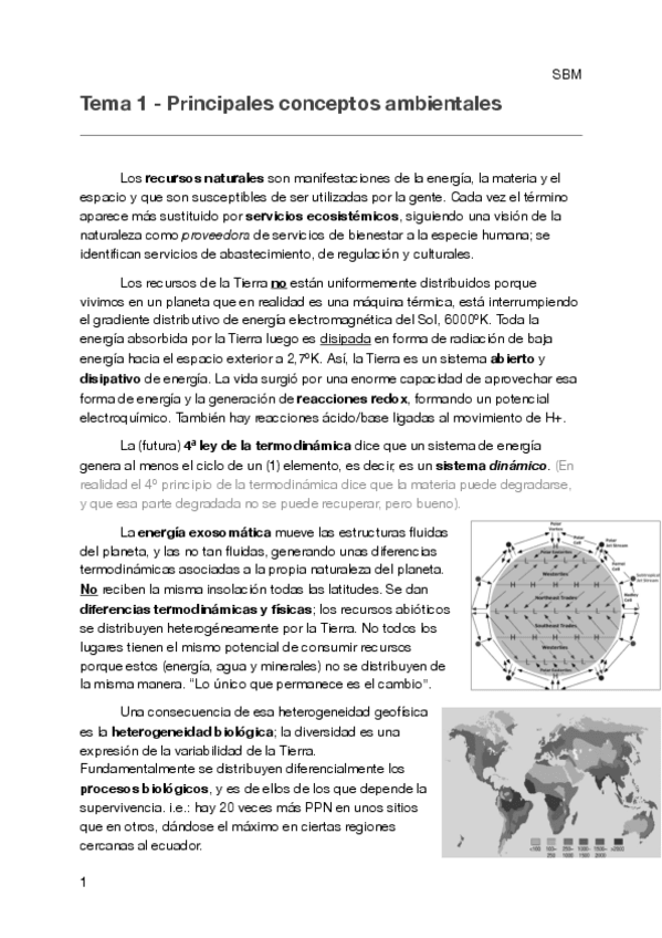 Miniatura del documento ERNA.pdf