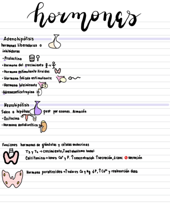 Miniatura del documento Hormonas.pdf