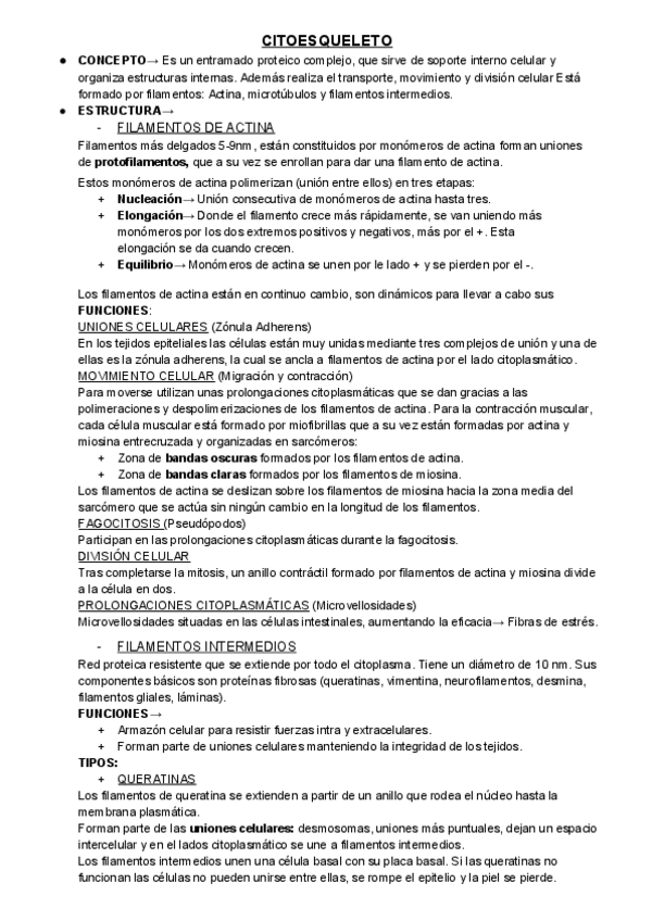 Miniatura del documento E.pdf