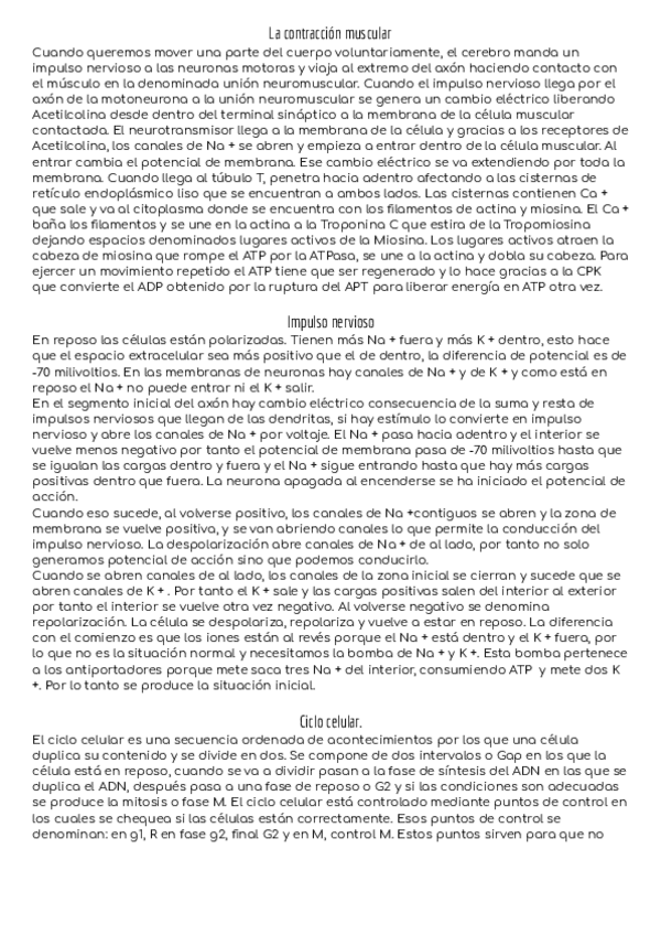 Miniatura del documento Preguntas-de-teoria-.pdf