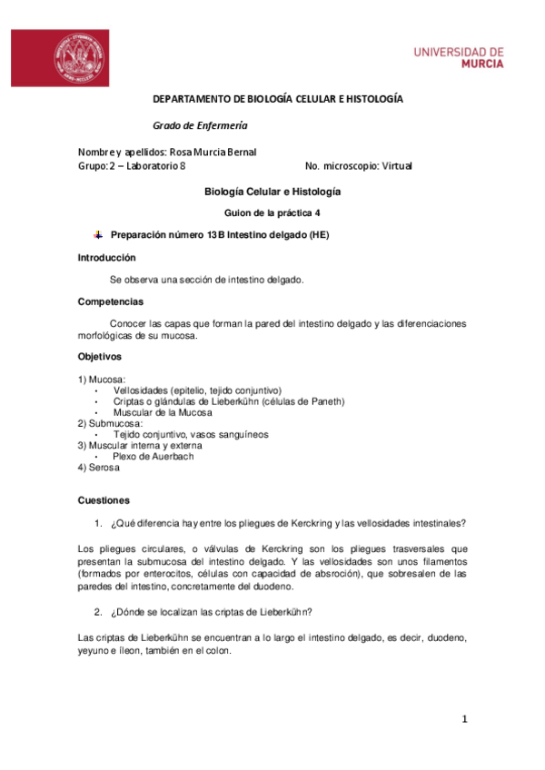 Miniatura del documento Guion-practica-4.pdf
