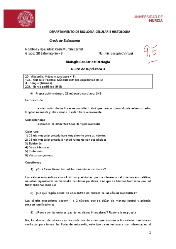 Miniatura del documento Rosa-Murcia-Bernal-Practica-395.pdf