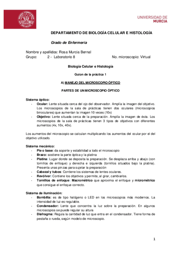 Miniatura del documento Guion-practica-1.pdf