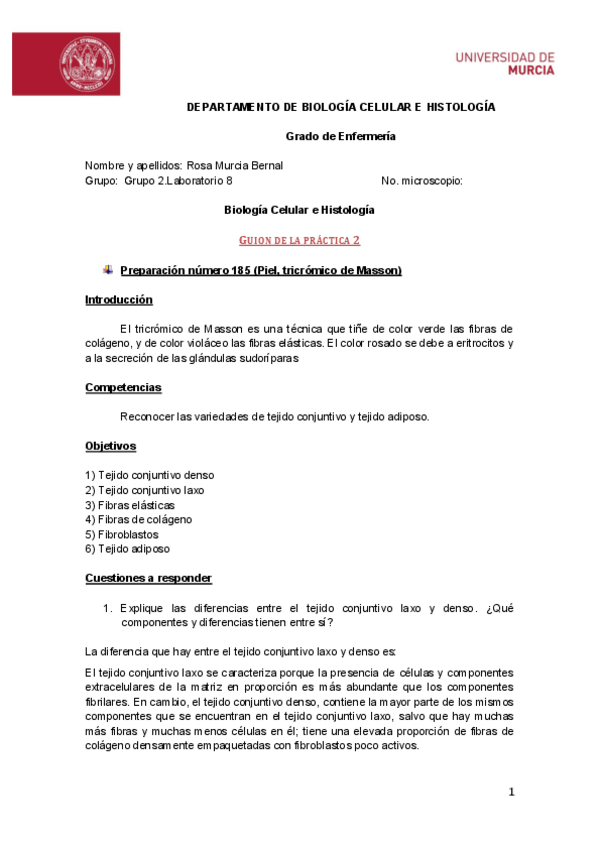 Miniatura del documento ROSA-MURCIA-BERNAL-Guion-practica-2-9.pdf